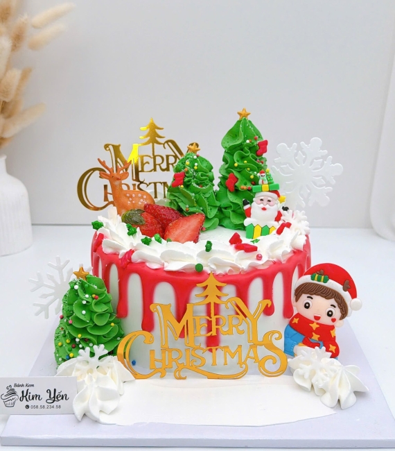 Bánh kem giáng sinh mẫu đẹp hot 2025 tại cao lãnh
