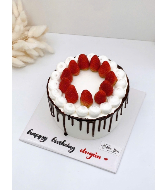 Tổng hợp mẫu bánh kem trái cây đẹp 2026 đơn giản kết hợp socola